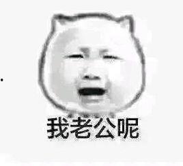 失踪人口回归表情包,失踪人口回归表情包背后的感人故事