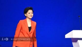 娱乐圈明星公益,爱心闪耀，助力社会公益事业